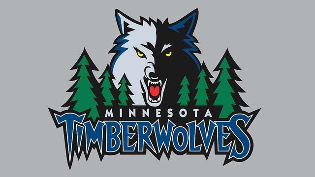 维希涅夫斯基：主场对阵荷兰是梦想，上场吃牌是因不懂规则（维希涅夫斯基：主场迎战荷兰是梦想，上场染黄因不熟规则）